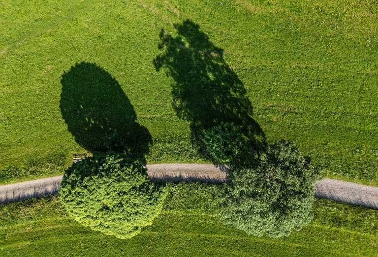 20e MTB Toer- en Wandeltocht Noord-Beveland — natuur in Kamperland